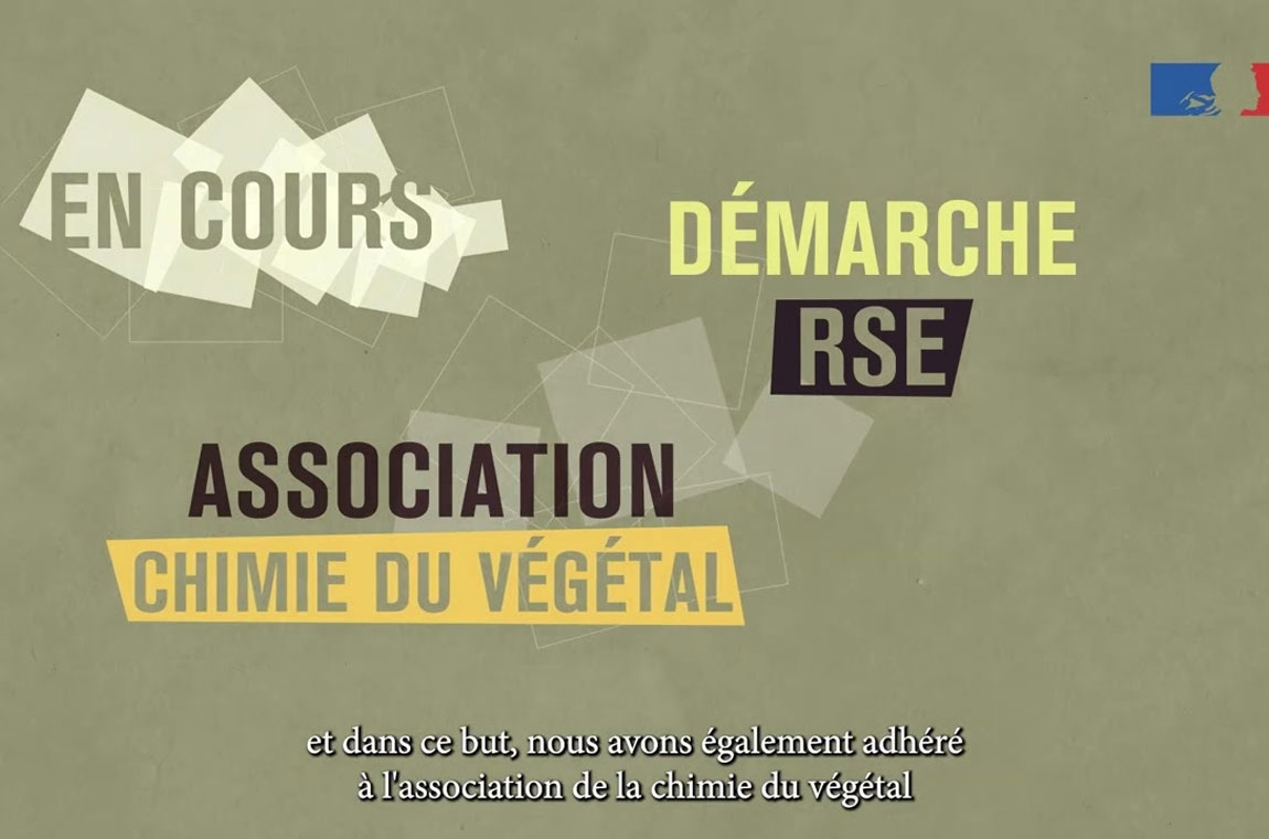 En cours démarche RSE association chimie du végétal
